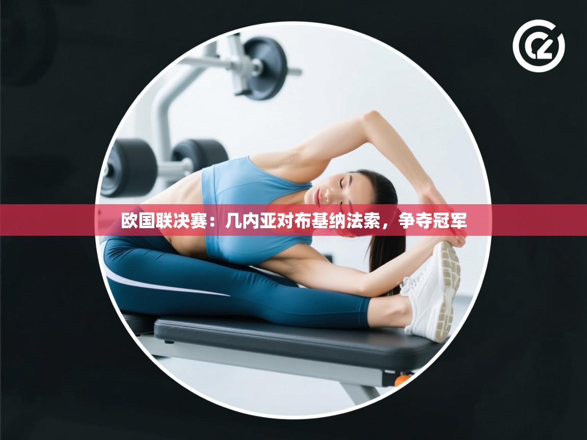 欧国联决赛：几内亚对布基纳法索，争夺冠军  第1张