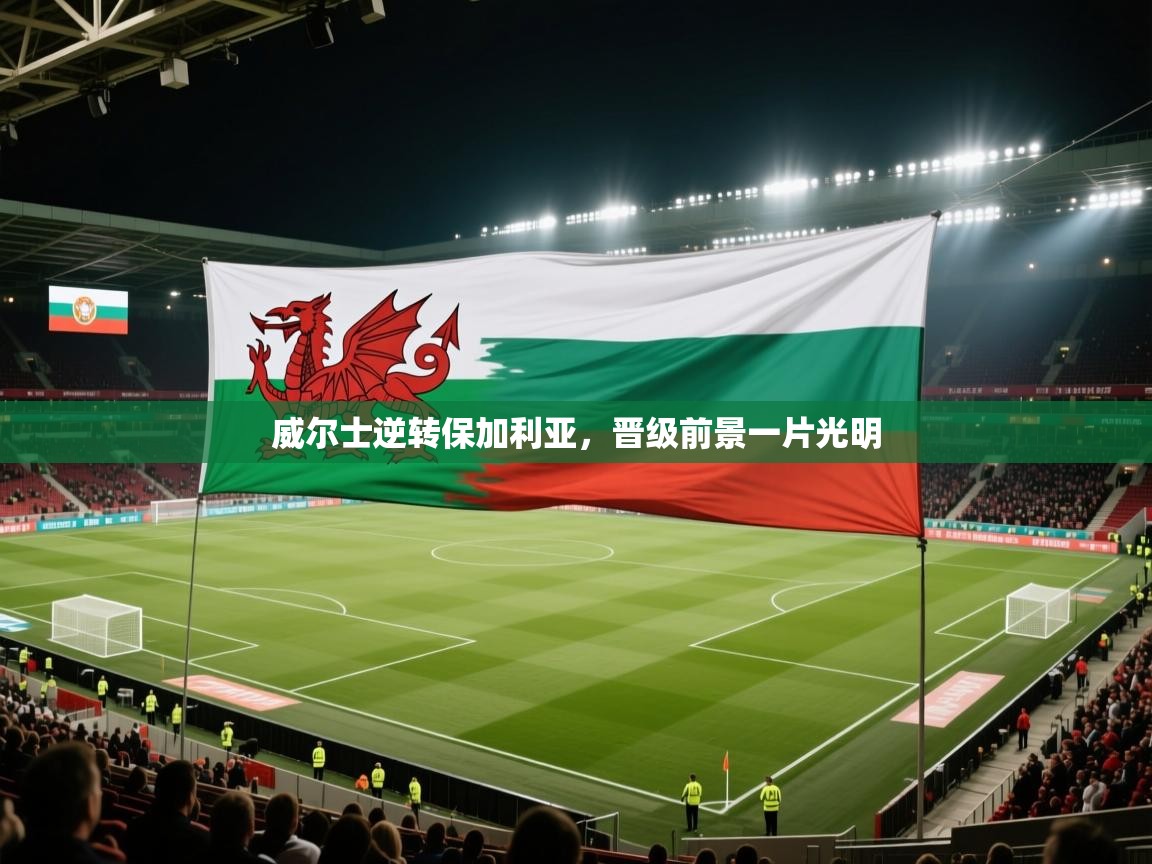 威尔士逆转保加利亚，晋级前景一片光明  第1张