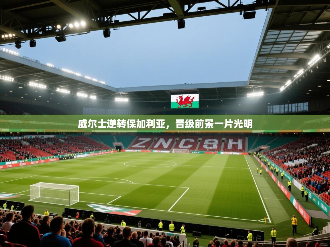 威尔士逆转保加利亚，晋级前景一片光明  第2张